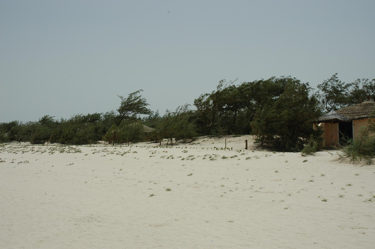 Diamarek Hotel Sur La Plage Saint-Louis Extérieur photo